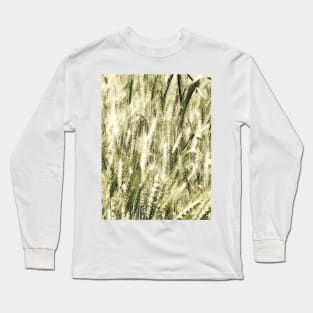 Field, crops, fields, spring, summer, gold, green, rural, farm, farming, landscape, nature, botanical, farms, leaves, wheat, barley, graphic-design, digital, photography, Long Sleeve T-Shirt